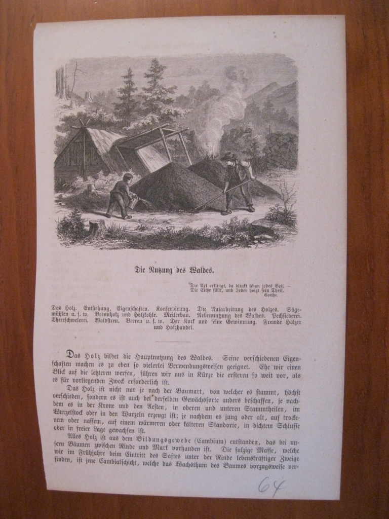 El carbonero y su hijo, 1864. Anónimo